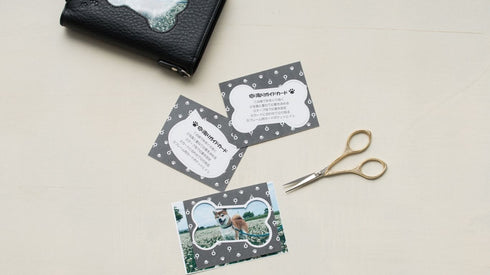 ソフト ファミリーウォレット(二つ折り)