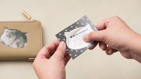 ソフト ファミリーウォレット(二つ折り)